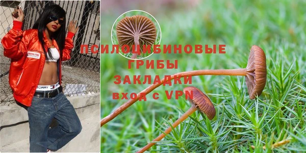 дмт Балахна